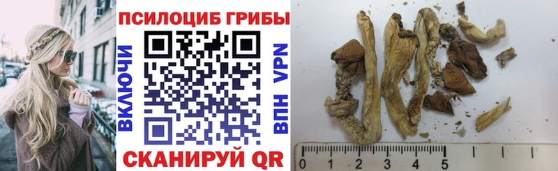 где купить наркоту  Уфа  Галлюциногенные грибы Psilocybe 